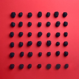 Photo of Flat lay composition with ripe blackberries on red background