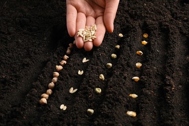 Photo of Woman planting cucumber seeds into fertile soil, closeup. Vegetable growing