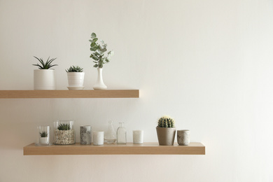 Photo of Wooden shelves with plants and decorative elements on light wall