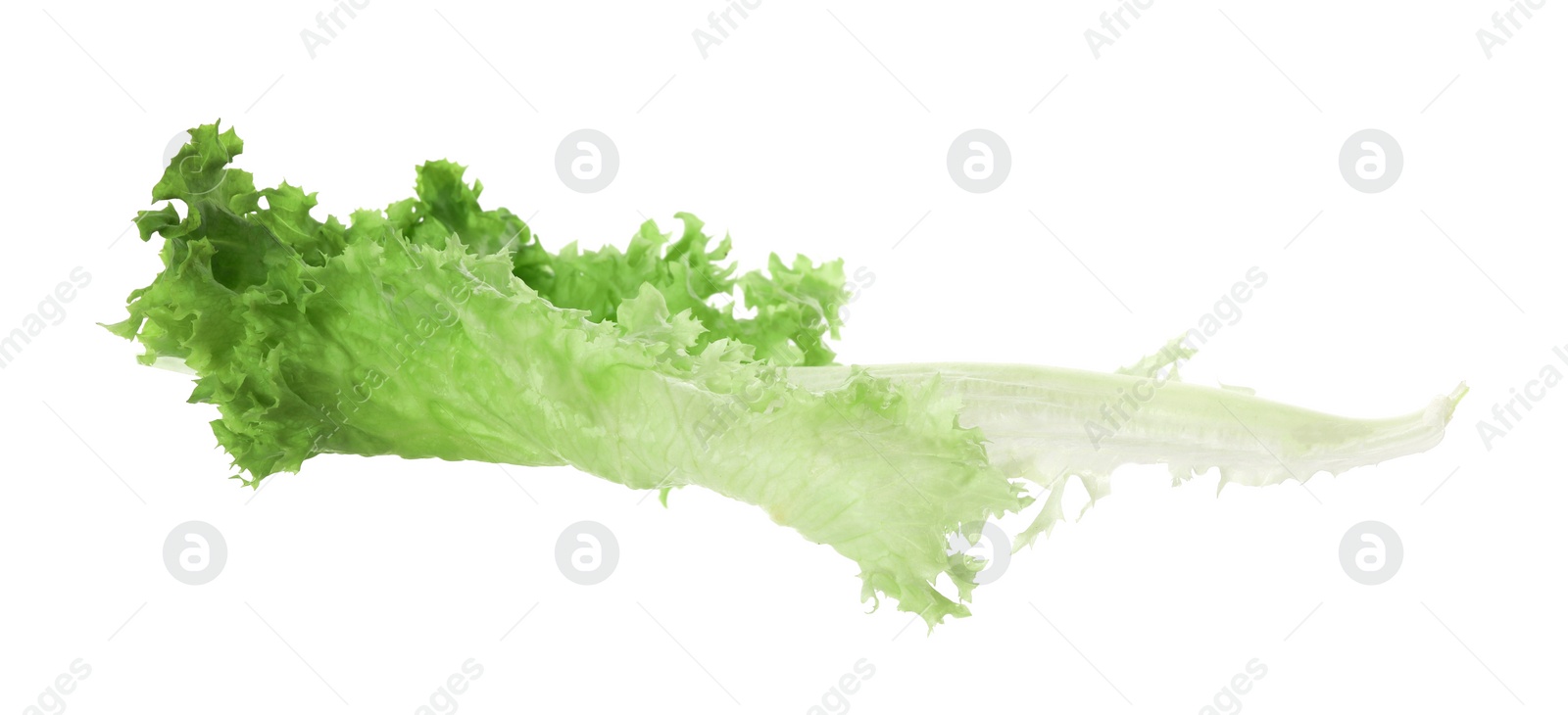 Photo of Fresh green lettuce leaf isolated on white