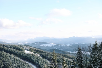 Beautiful mountain landscape with forest on sunny day in winter