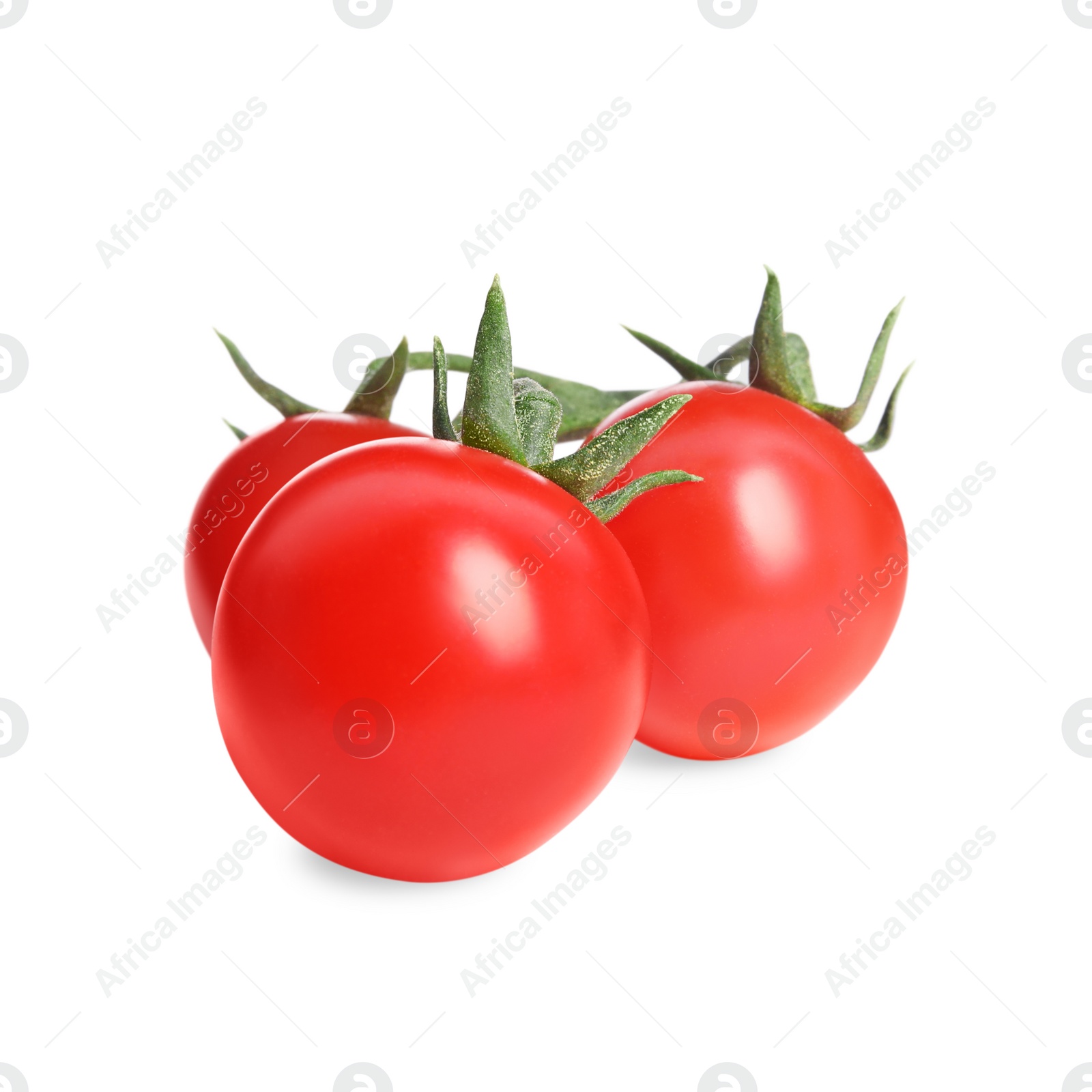 Photo of Branch of red ripe tomatoes isolated on white