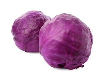 Photo of Fresh ripe red cabbages on white background