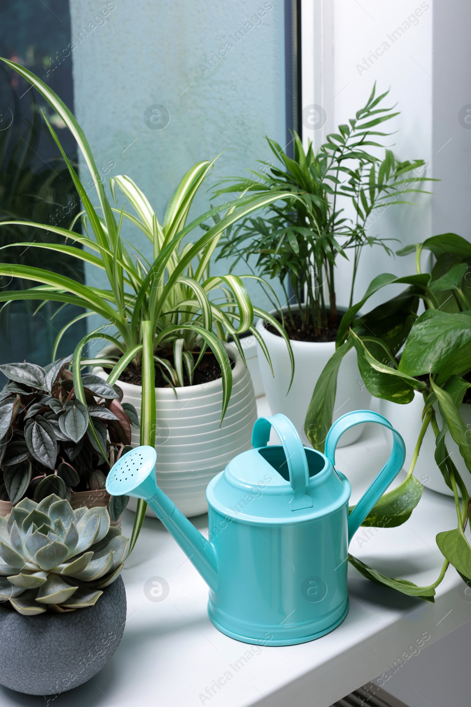 Photo of Different beautiful houseplants and light blue metal watering can on window sill indoors