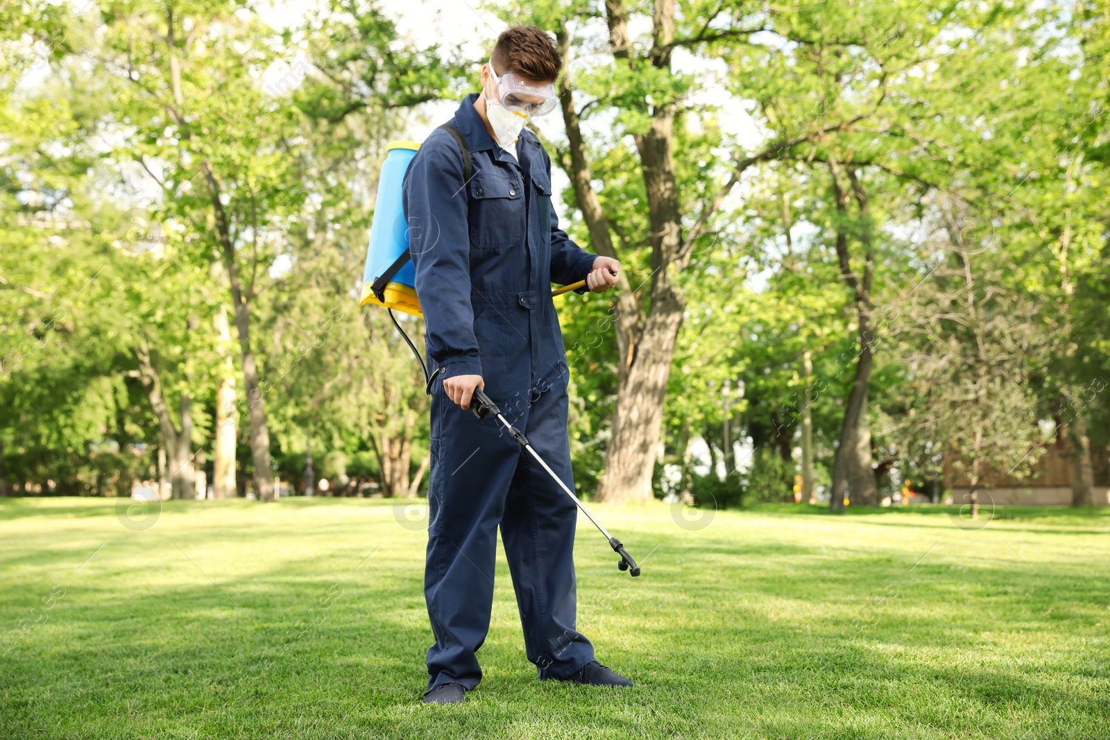 Photo of Worker spraying pesticide onto green lawn outdoors. Pest control