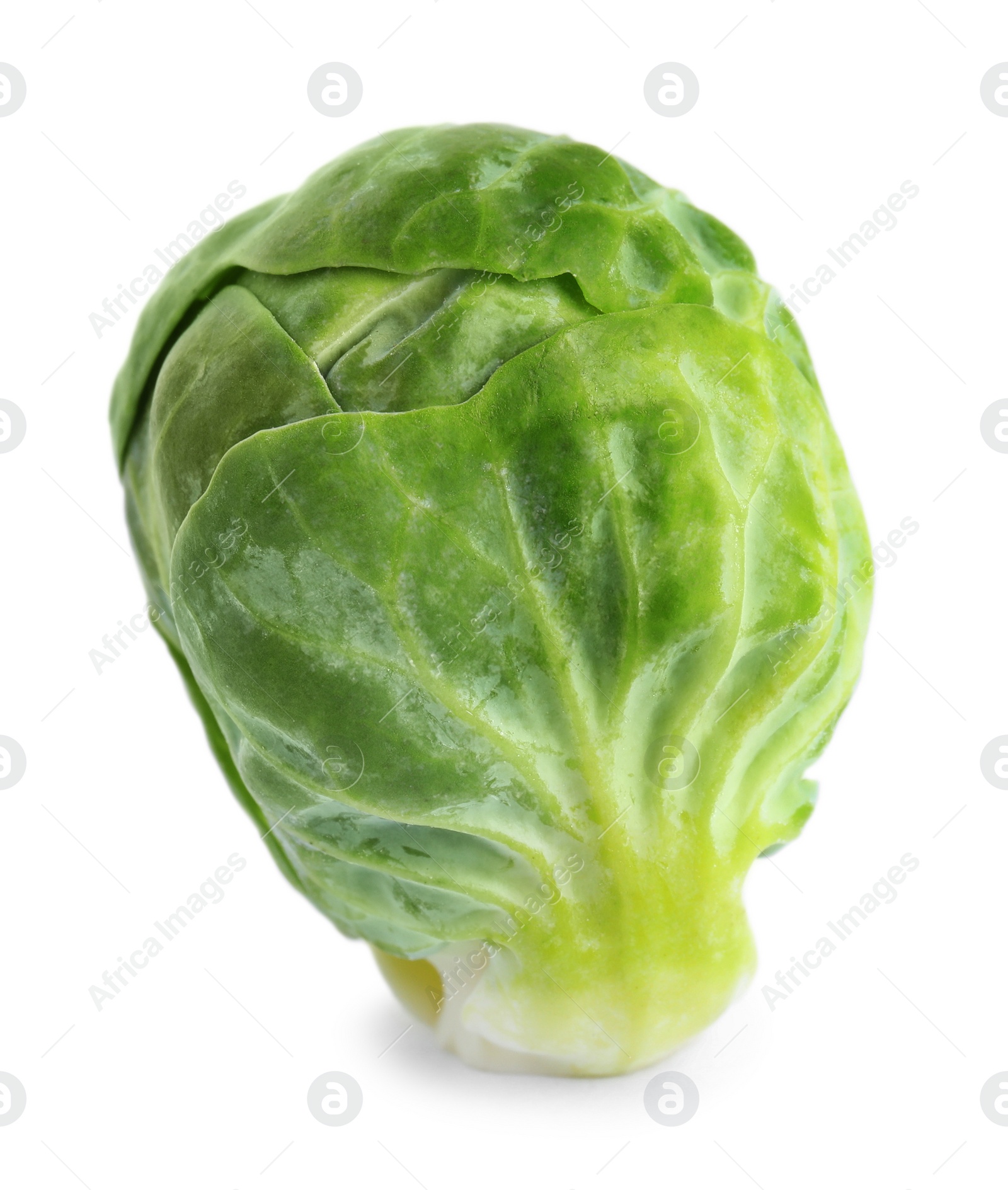 Photo of Fresh tasty Brussels sprout isolated on white