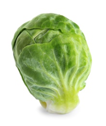 Fresh tasty Brussels sprout isolated on white