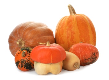 Fresh raw pumpkins isolated on white. Organic plant