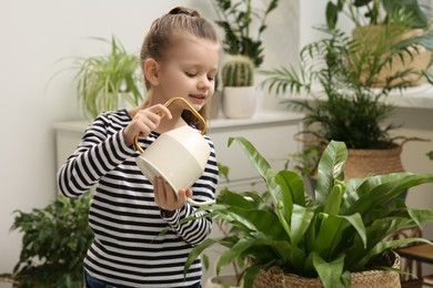 Cute little girl watering beautiful green plant at home. House decor
