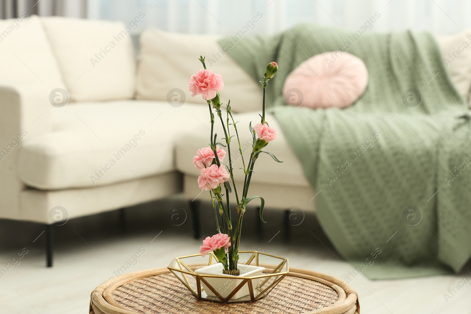 Photo of Ikebana art. Beautiful pink carnation flowers carrying cozy atmosphere at home