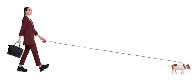 Image of Smiling businesswoman walking with dog on white background