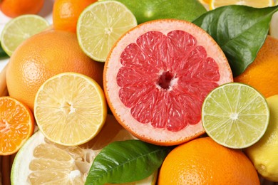 Photo of Different ripe citrus fruits with green leaves as background, closeup
