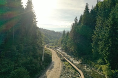Photo of Beautiful landscape with river along dirt road among green trees in mountains. Drone photography