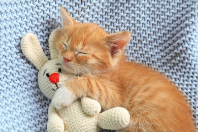 Photo of Sleeping cute little kitten with toy on light blue blanket