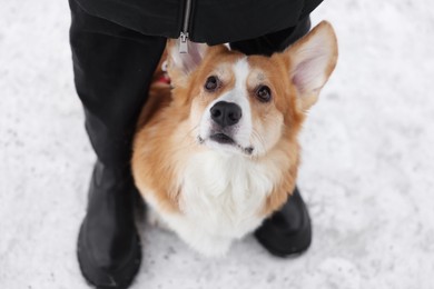 Photo of Woman with adorable Pembroke Welsh Corgi dog on snow, above view