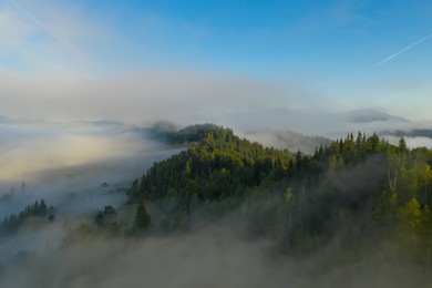 Image of Aerial view of beautiful mountains and conifer trees on foggy morning