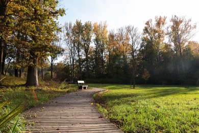 Photo of Picturesque view of park with beautiful trees and pathway on sunny day. Autumn season