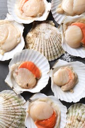 Photo of Fresh raw scallops on grey table, flat lay