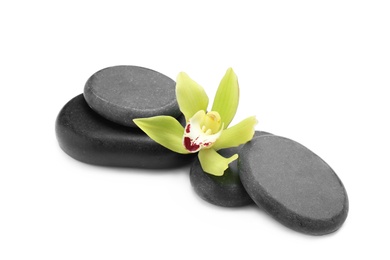 Photo of Beautiful orchid flower and spa stones on white background