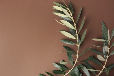 Photo of Twigs with fresh green olive leaves on light brown background, top view. Space for text