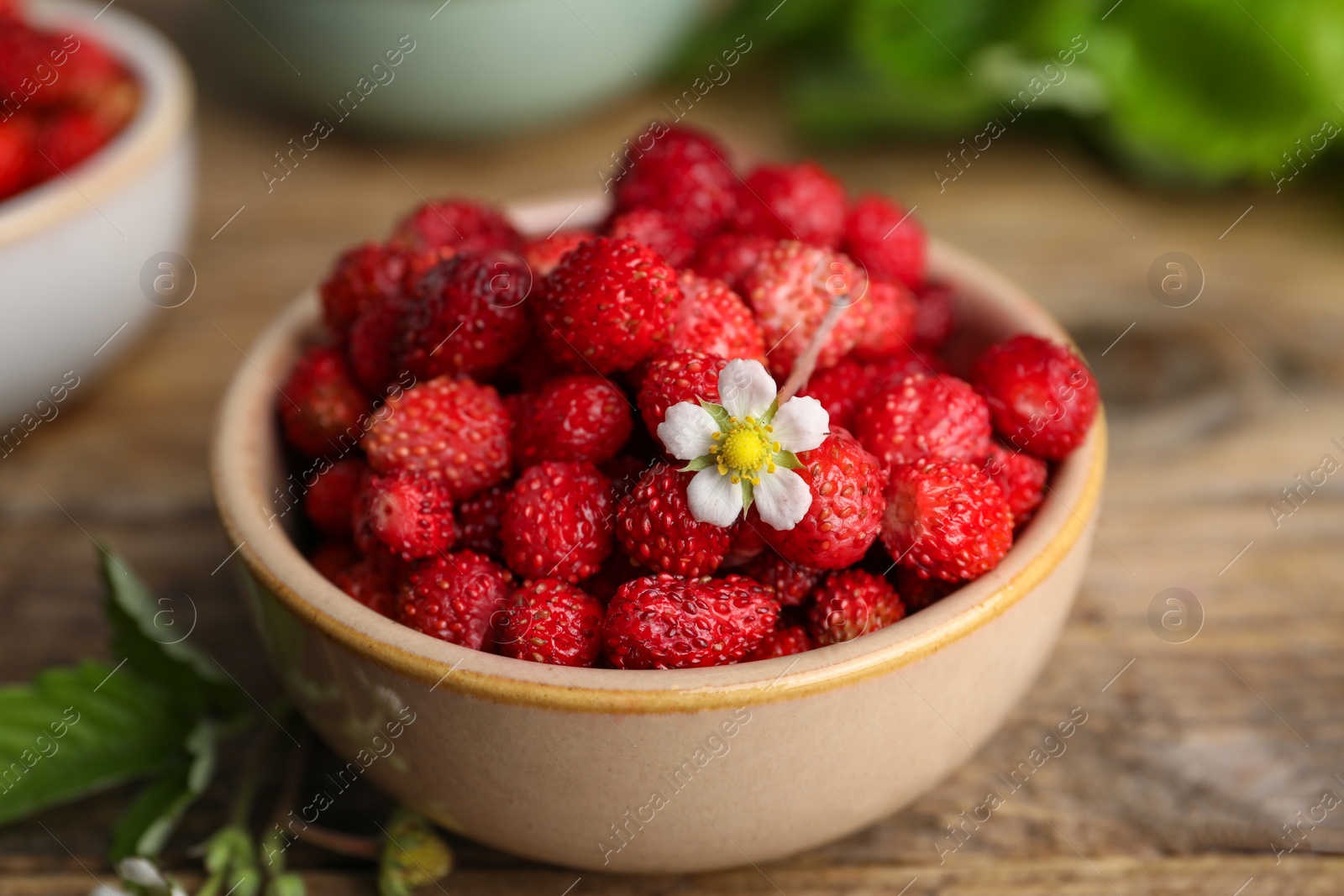 Photo of Fresh wild strawberries and flower in bowl on table, closeup