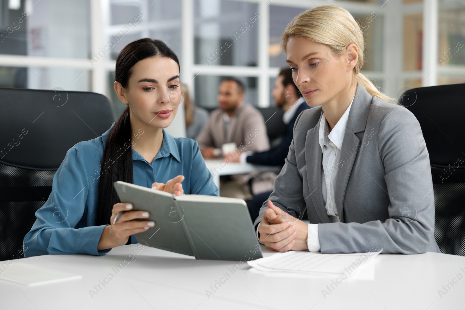 Photo of Lawyers with notebook working together at table in office, selective focus