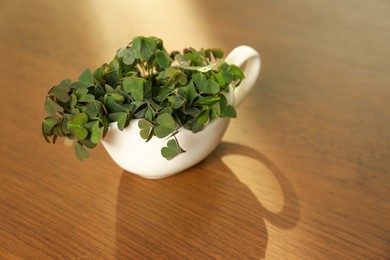 Photo of Beautiful green clover leaves in gravy boat on wooden table. Space for text