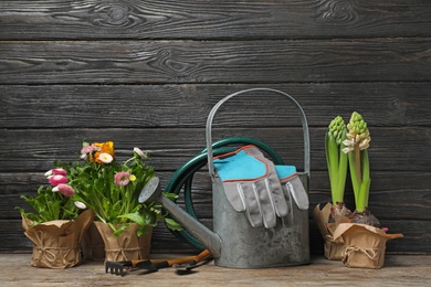 Photo of Composition with plants and gardening tools on table against wooden background
