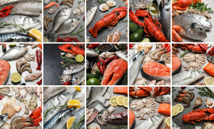 Image of Collage with various fresh fishes and seafood