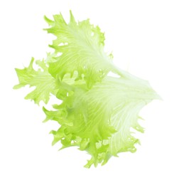 Photo of Leaf of fresh lettuce for burger isolated on white