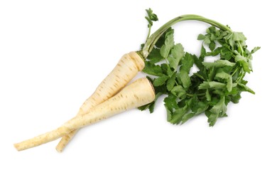 Photo of Tasty fresh ripe parsnips on white background, top view