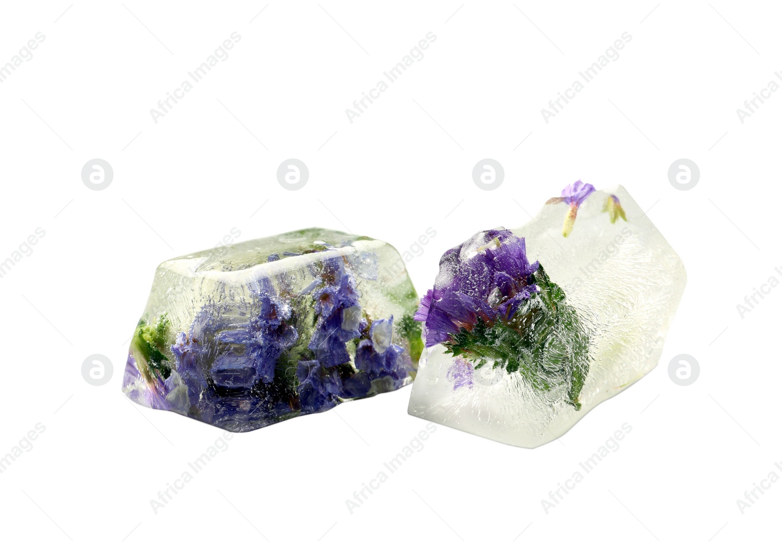 Image of Ice cubes with flowers on white background