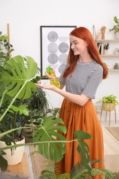 Beautiful woman taking care of houseplant in room