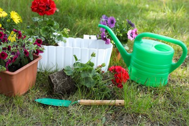 Beautiful flowers in pots, watering can and trowel on grass in garden