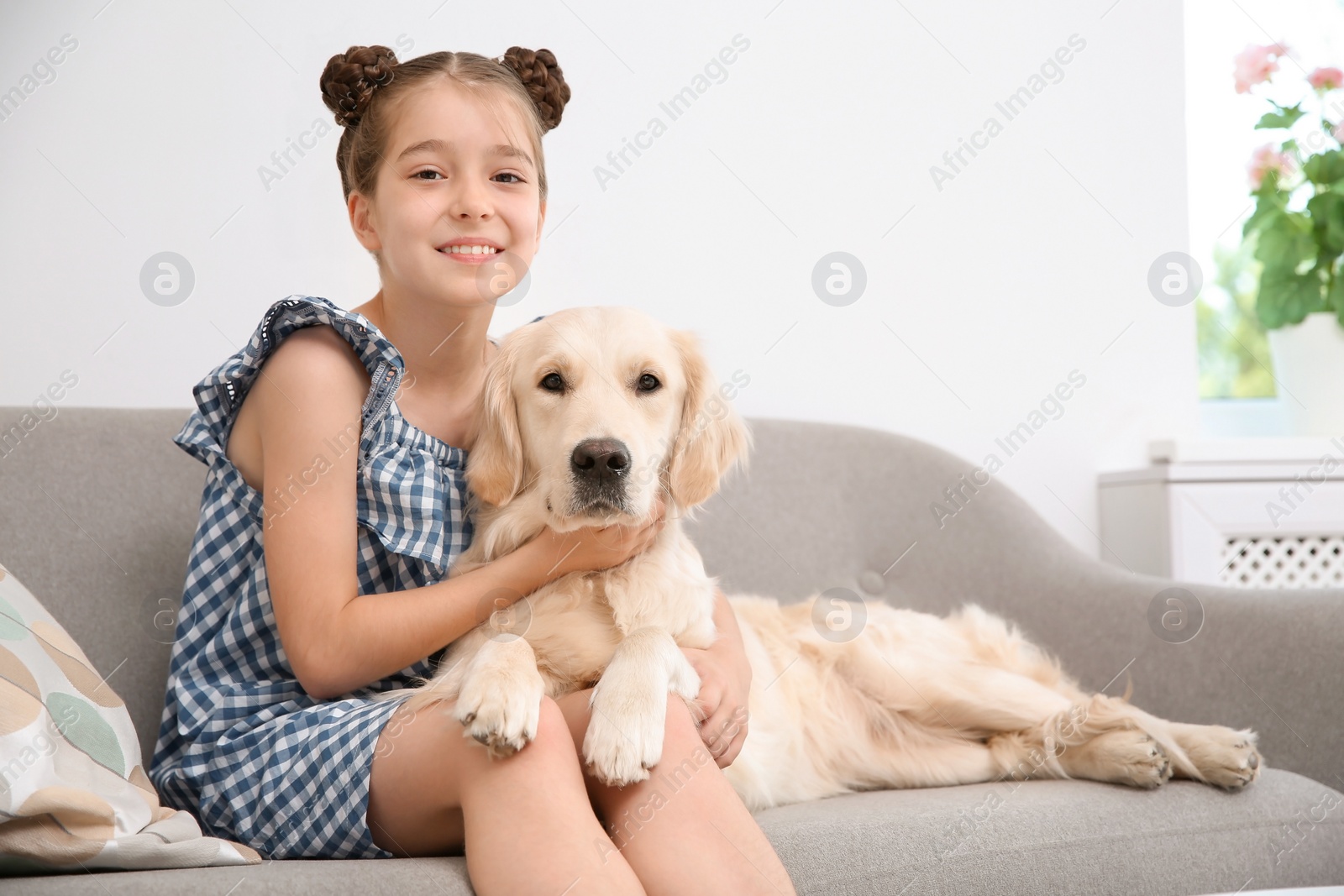 Photo of Cute little child with her pet on sofa at home