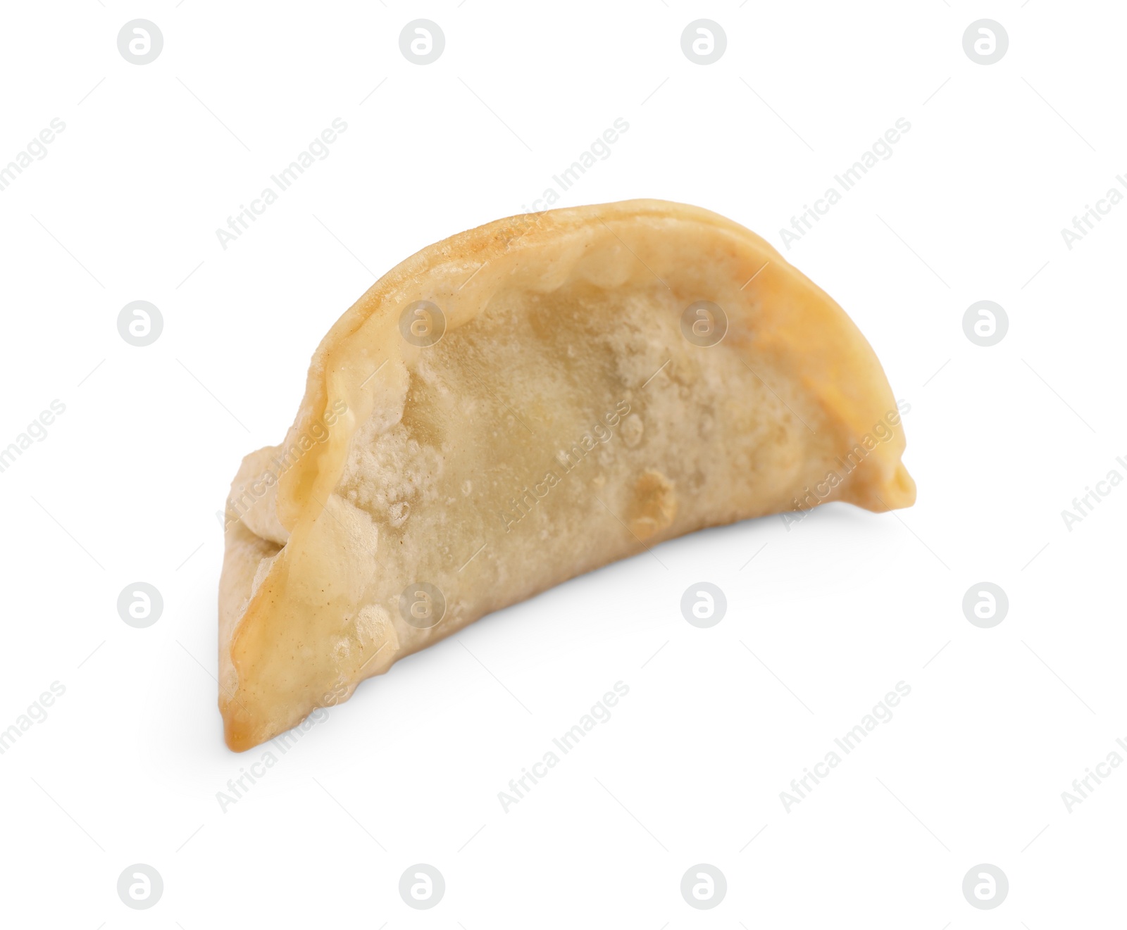 Photo of Delicious gyoza (asian dumpling) isolated on white
