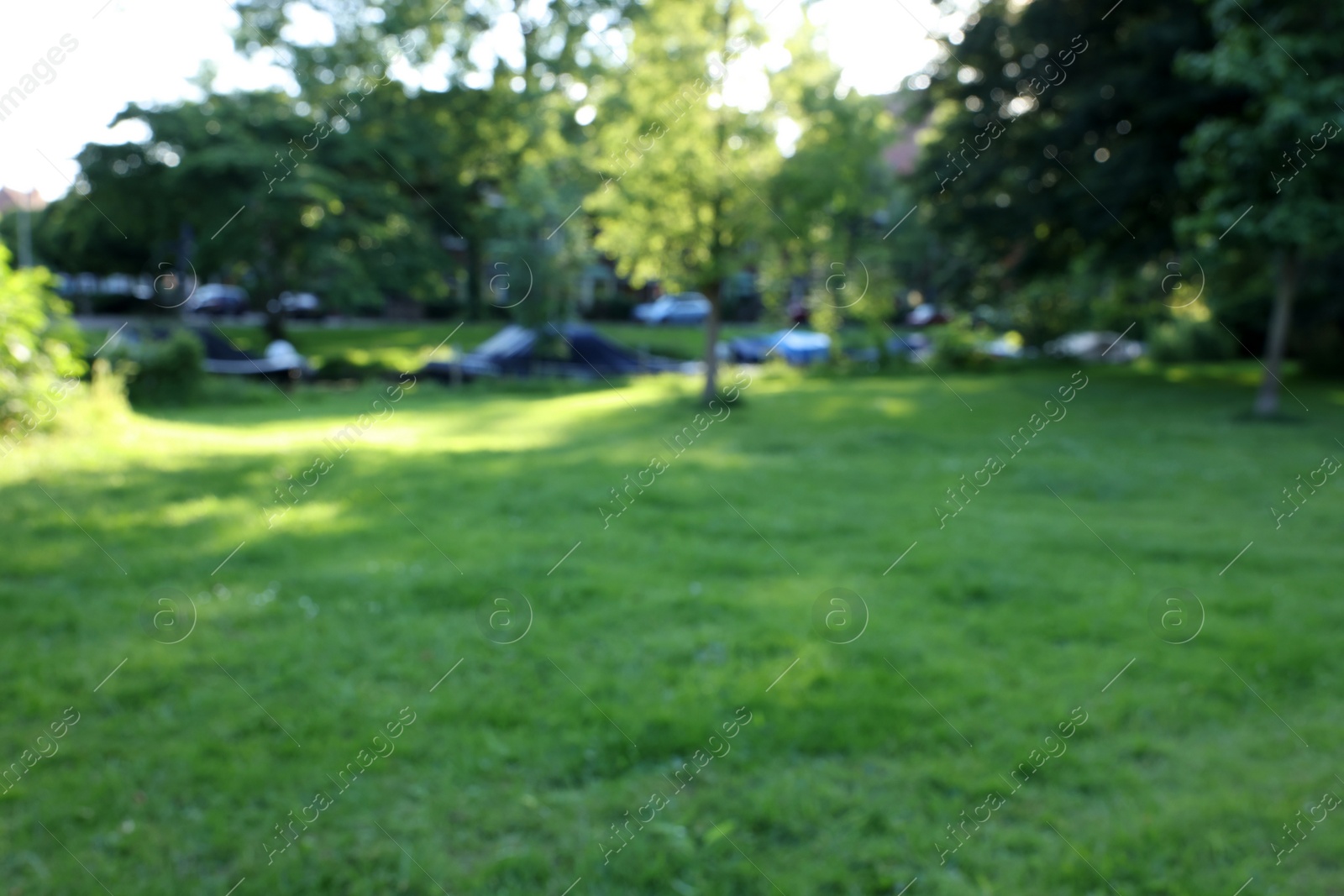 Photo of Blurred view of beautiful park with fresh green grass and trees on sunny day