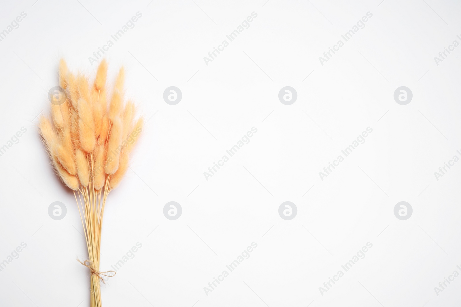 Photo of Bunch of beautiful dried flowers on white background, top view