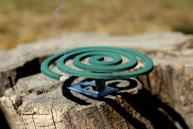 Photo of Smouldering insect repellent coil on tree stump outdoors