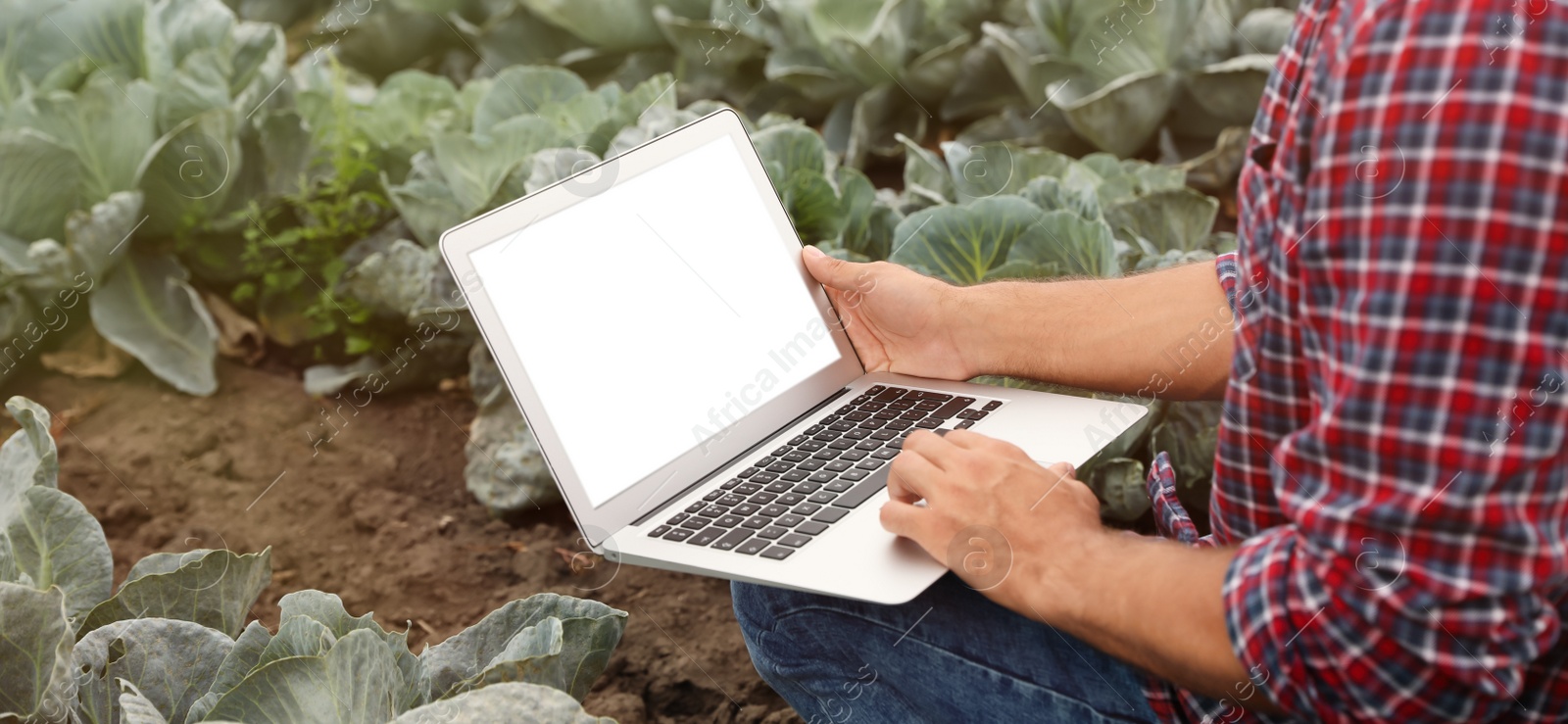 Photo of Man using laptop with blank screen in field, closeup. Agriculture technology
