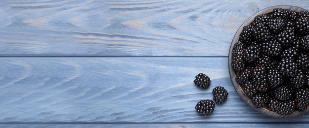 Photo of Fresh ripe blackberries on blue wooden table, flat lay. Space for text