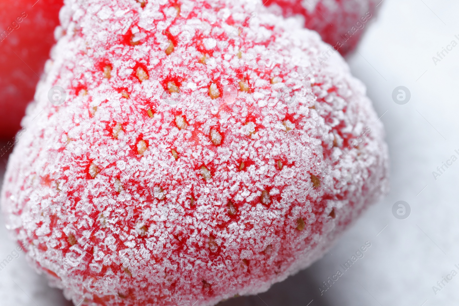 Photo of Strawberry covered with hoarfrost on light background, macro view. Frozen berry