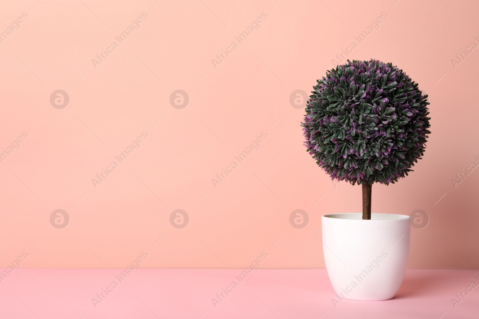 Photo of Artificial plant in flower pot on pink background. Space for text