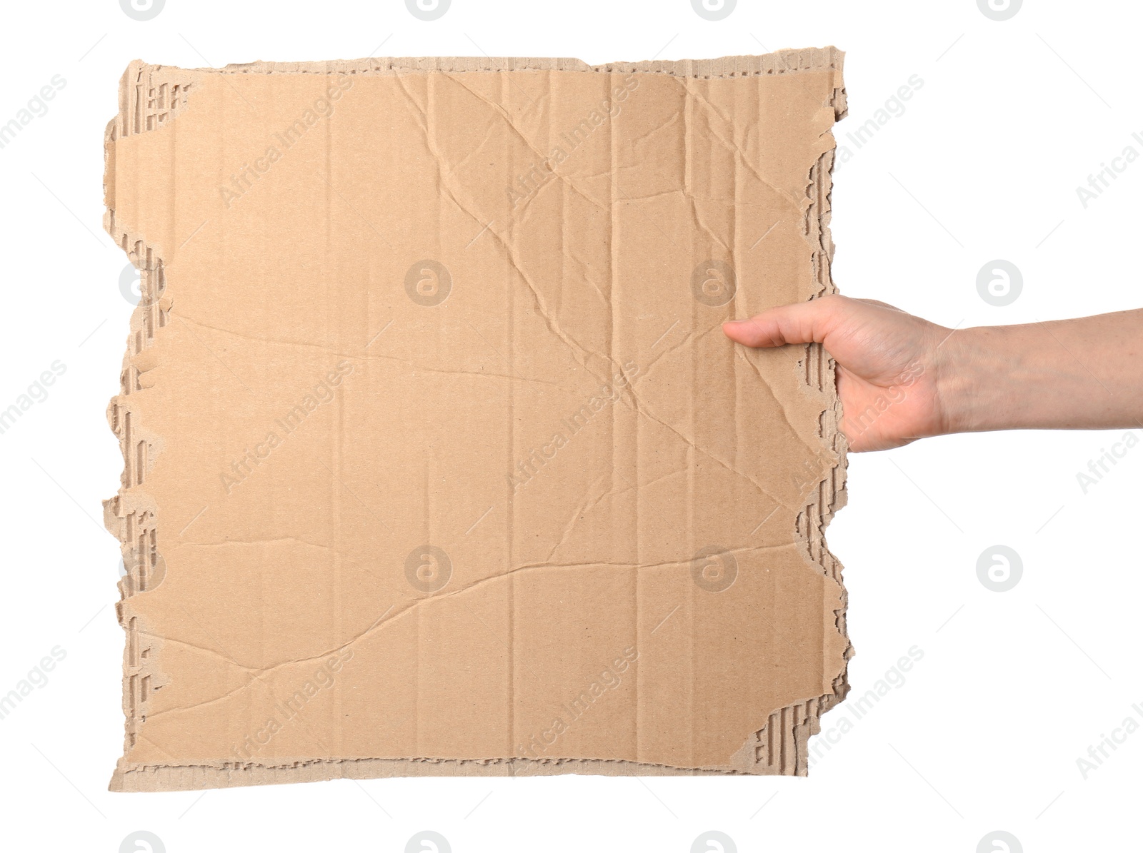 Photo of Woman holding piece of cardboard on white background, closeup. Space for text