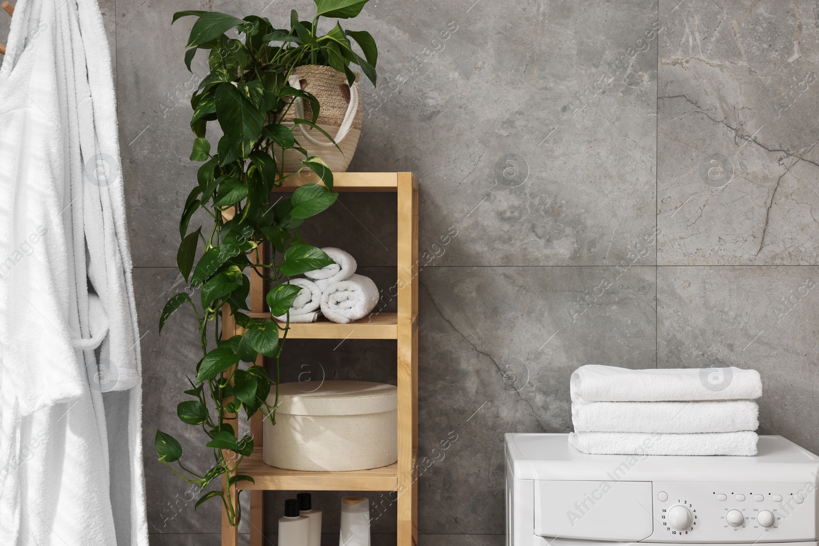 Photo of Shelving unit with rolled towels, houseplant, box and bottles near washing machine indoors