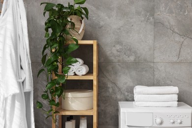 Shelving unit with rolled towels, houseplant, box and bottles near washing machine indoors