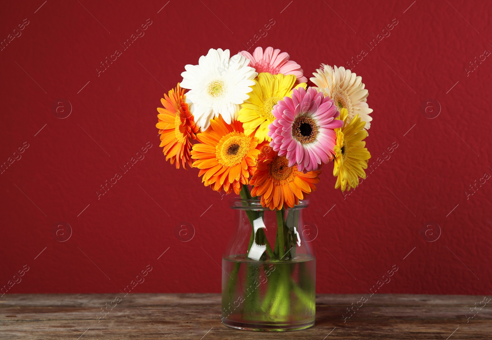 Photo of Bouquet of beautiful bright gerbera flowers in vase on wooden table against color background