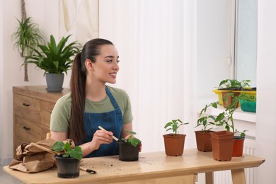 Photo of Happy woman planting seedling into pot at wooden table in room, space for text