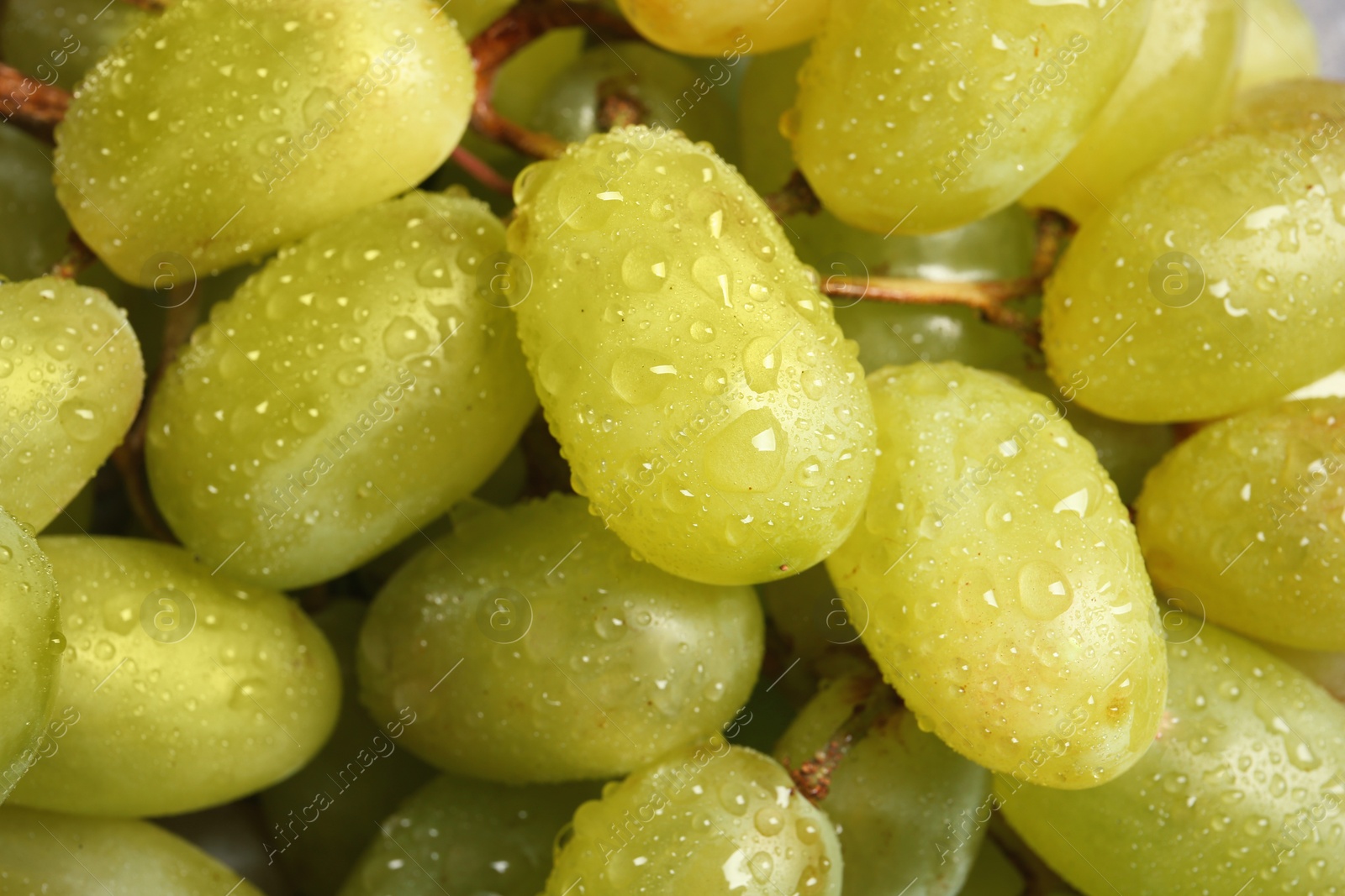 Photo of Fresh ripe juicy grapes as background, closeup