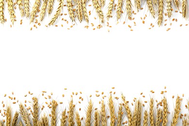 Photo of Many ears of wheat and grains on white background, flat lay. Space for text